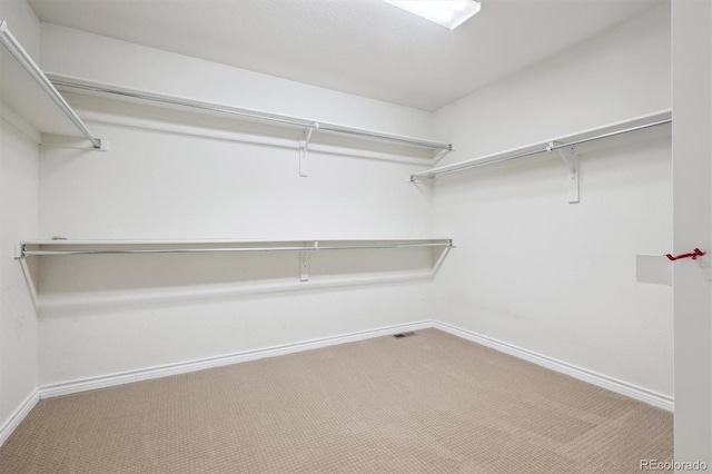 11969 E Lake Cir, Greenwood Village, CO 80111 - walk in closet featuring carpet
