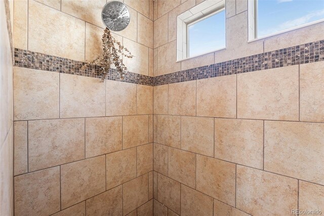 4405 Walden Ct, Denver, CO 80249 - bathroom view of tiled shower