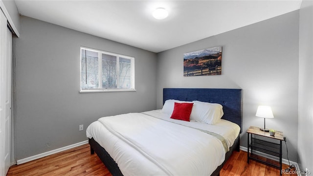 1720 Mable Ave, Denver, CO 80229 - photo 16