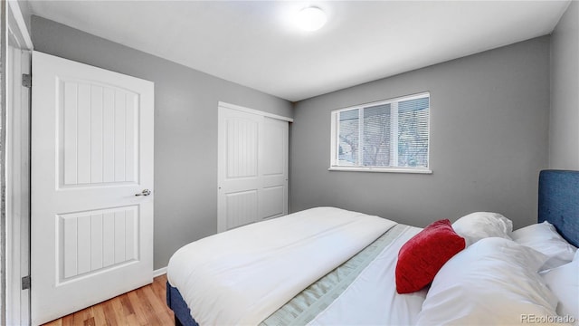 1720 Mable Ave, Denver, CO 80229 - photo 18