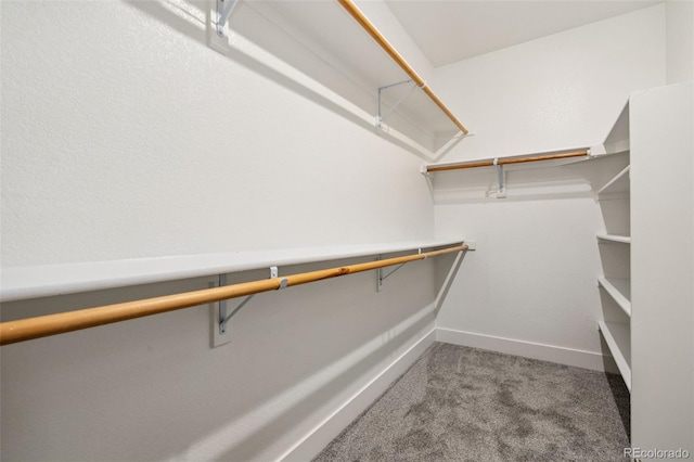 5068 Yosemite Ct, Denver, CO 80238 - spacious closet with carpet floors