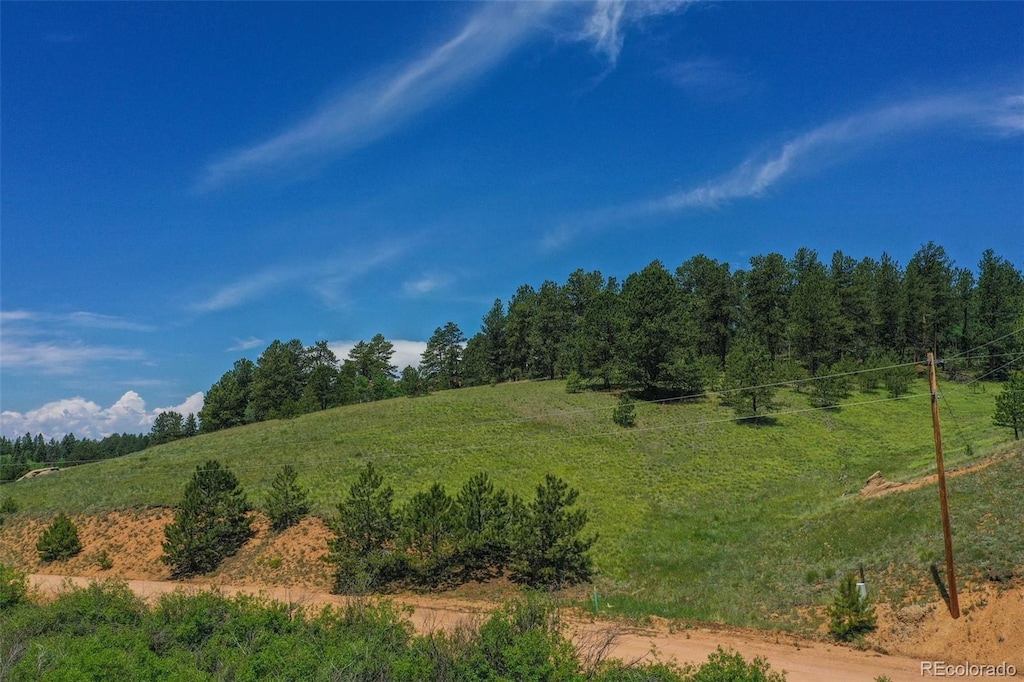 781 Arapahoe Creek Dr, Florissant, CO 80816 - photo 1