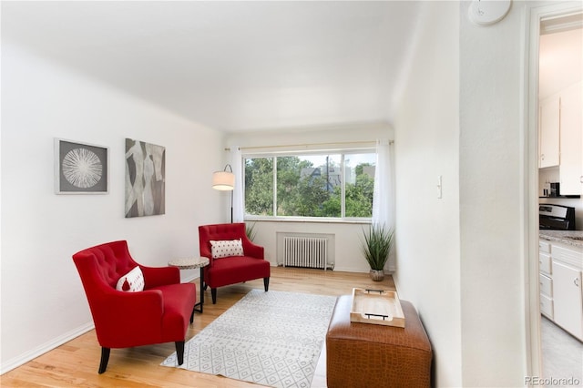 85 N Grant St Unit 27, Denver, CO 80203 - living area featuring radiator heating unit and light wood-style floors