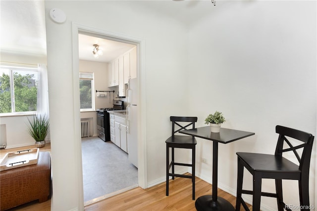 85 N Grant St Unit 27, Denver, CO 80203 - dining area featuring radiator heating unit and light wood finished floors