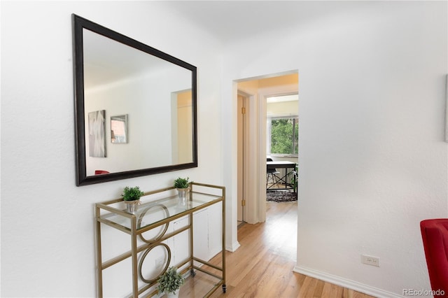 85 N Grant St Unit 27, Denver, CO 80203 - corridor featuring wood finished floors and baseboards
