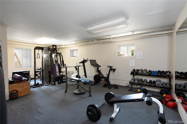 85 N Grant St Unit 27, Denver, CO 80203 - workout room with healthy amount of natural light