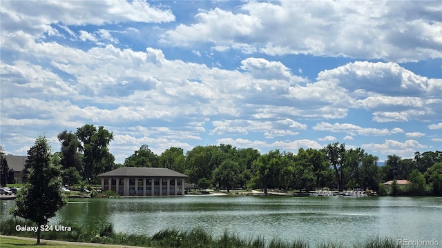 85 N Grant St Unit 27, Denver, CO 80203 - water view