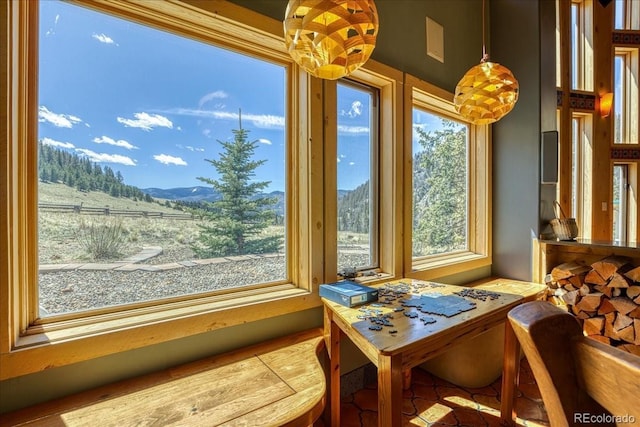 1441 Forest Rd Unit 507 1A, Creede, CO 81130 - photo 21