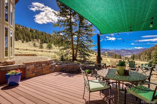 1441 Forest Rd Unit 507 1A, Creede, CO 81130 - photo 39