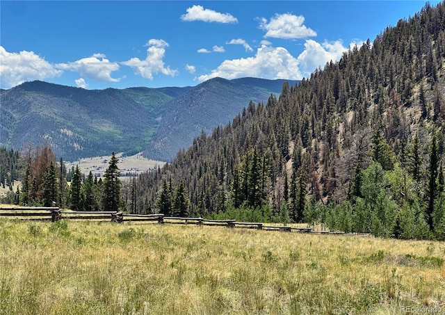 1441 Forest Rd Unit 507 1A, Creede, CO 81130 - photo 40