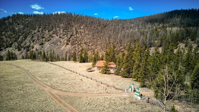 1441 Forest Rd Unit 507 1A, Creede, CO 81130 - photo 41