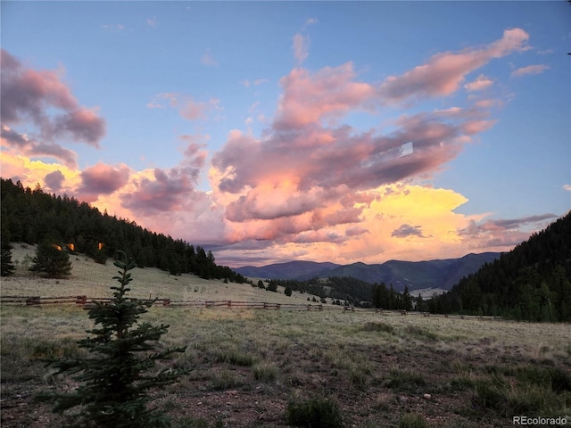 1441 Forest Rd Unit 507 1A, Creede, CO 81130 - photo 48
