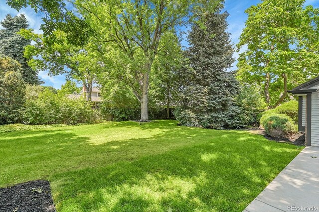 3821 S Magnolia Way, Denver, CO 80237 - photo 36