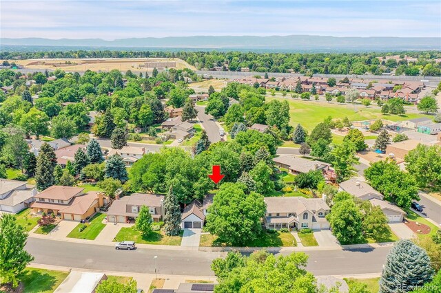 3821 S Magnolia Way, Denver, CO 80237 - photo 38