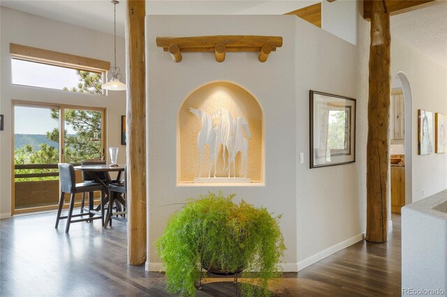 hall featuring dark wood-type flooring and a high ceiling