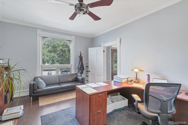 office area with ceiling fan, dark hardwood / wood-style flooring, and ornamental molding