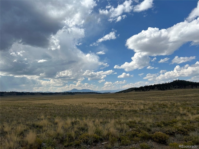 10055 County Road 53, Hartsel, CO 80449 - photo 1