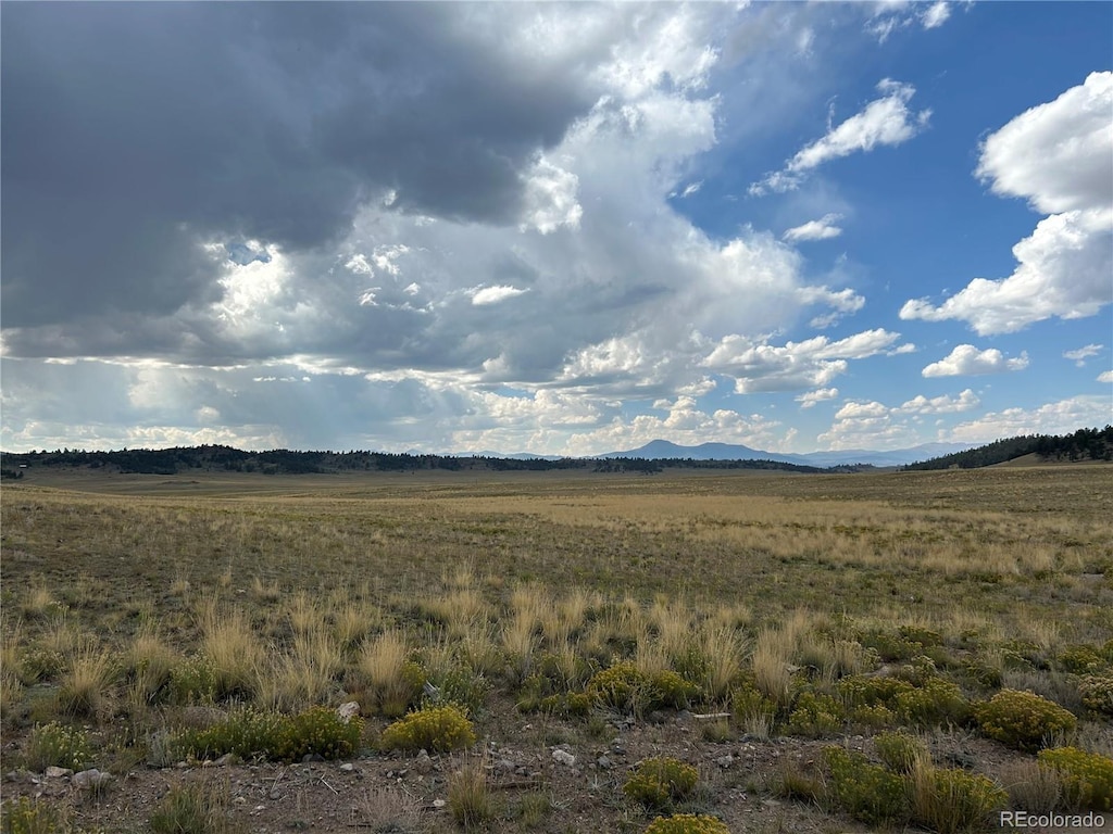 10055 County Road 53, Hartsel, CO 80449 - photo 2