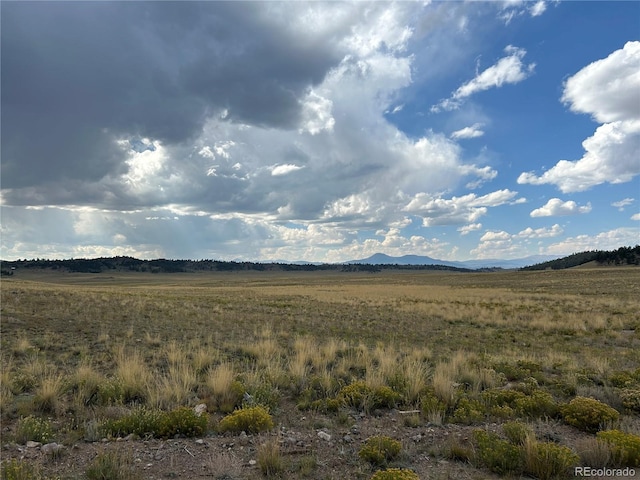 10055 County Road 53, Hartsel, CO 80449 - photo 2