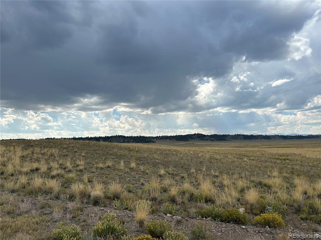 10055 County Road 53, Hartsel, CO 80449 - photo 3