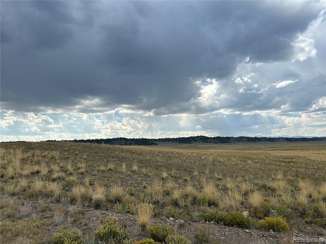 10055 County Road 53, Hartsel, CO 80449 - photo 3