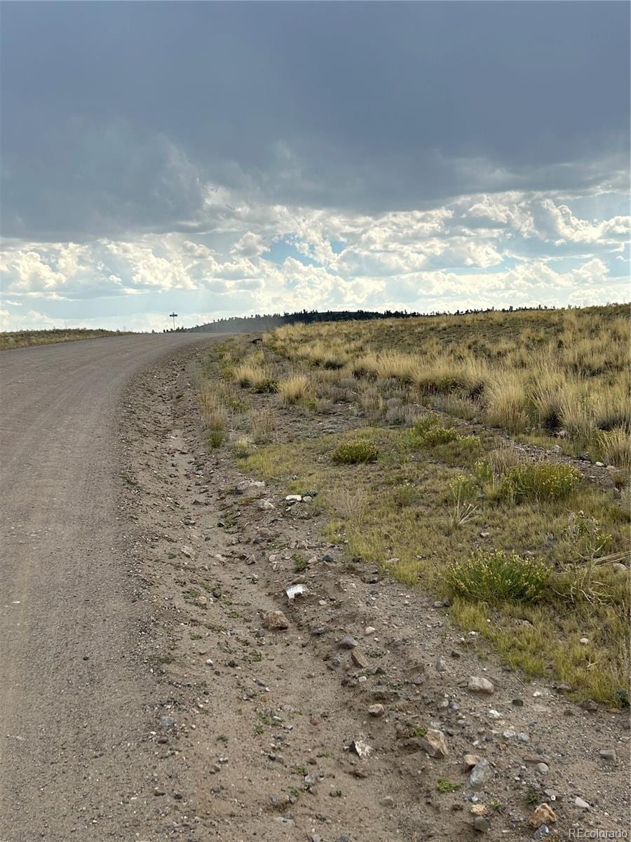 10055 County Road 53, Hartsel, CO 80449 - photo 4