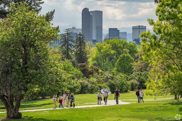 1642 N Lafayette St Unit 5, Denver, CO 80218 - view of community featuring a yard and a city view