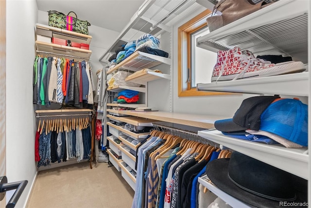 350 Holly St, Denver, CO 80220 - walk in closet with carpet floors