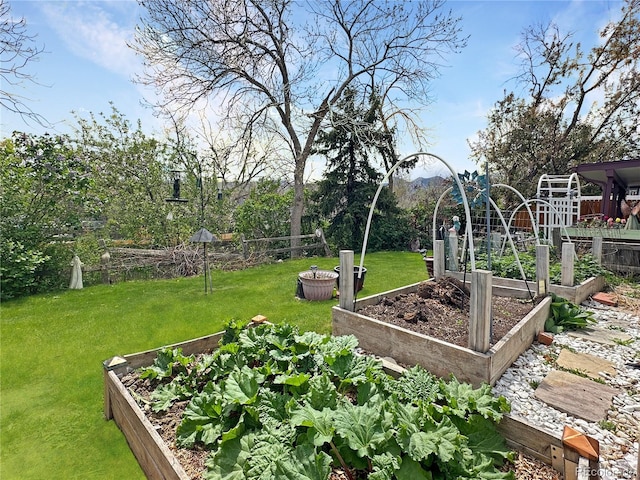 view of yard featuring a garden
