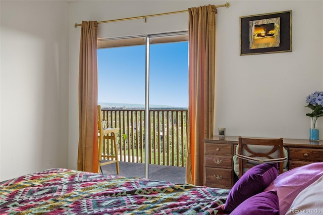 bedroom featuring multiple windows and access to outside