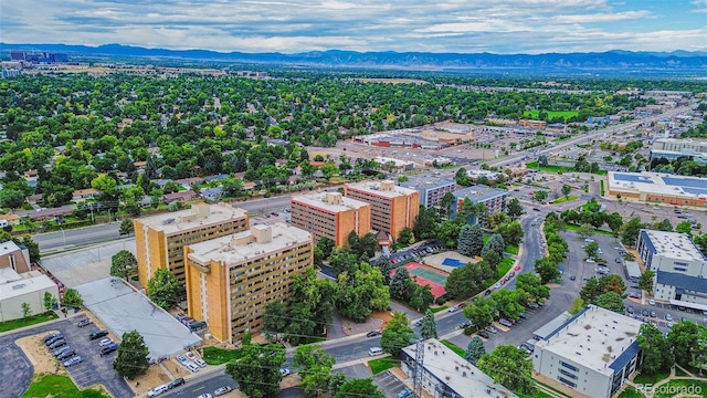 birds eye view of property featuring a mountain view