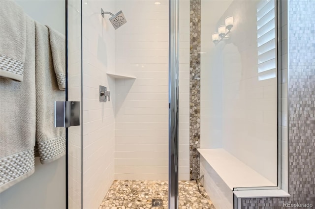 10119 Bellwether Ln, Lone Tree, CO 80124 - full bath featuring a shower stall