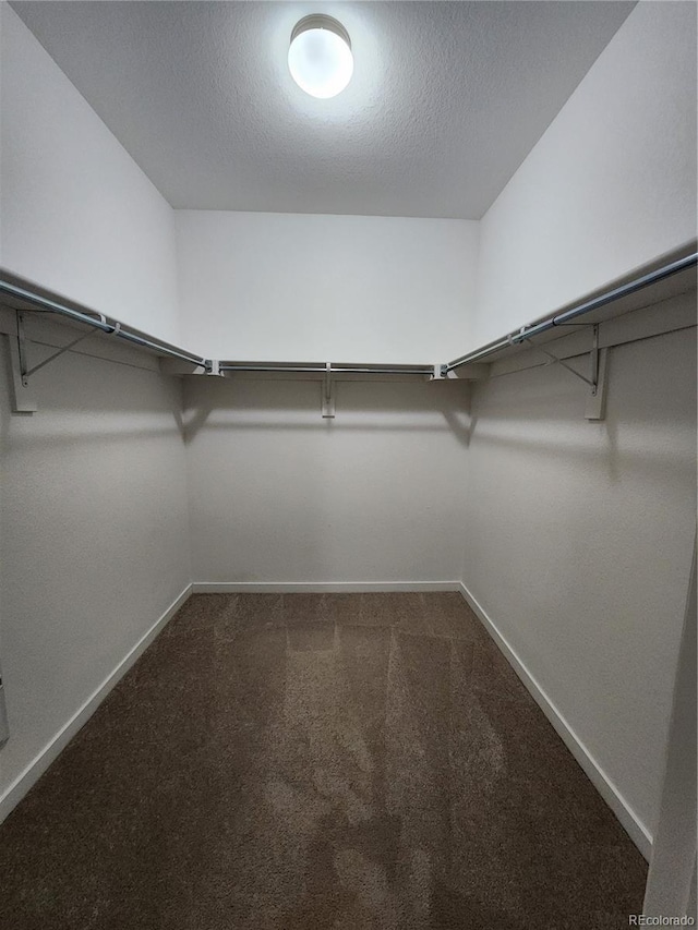 9220 Wilde Ln Unit 102, Parker, CO 80134 - spacious closet with dark colored carpet