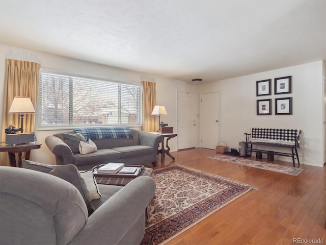 living room featuring hardwood / wood-style floors