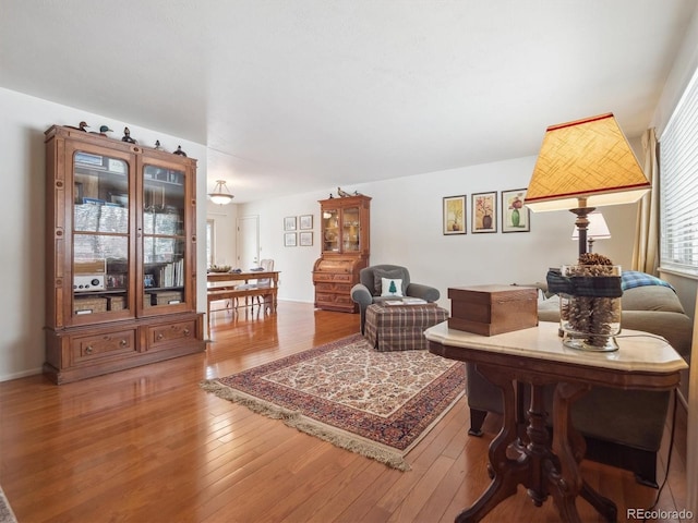 living area featuring hardwood / wood-style floors