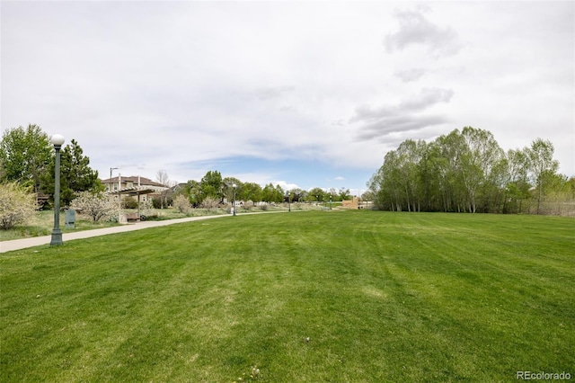 view of community with a yard