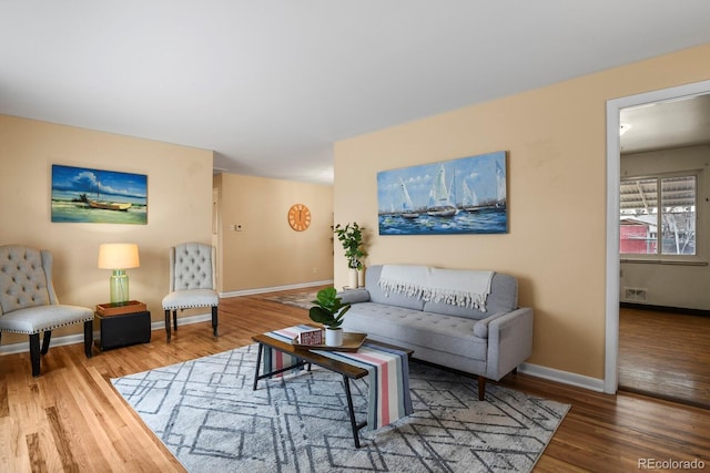 living room featuring wood-type flooring