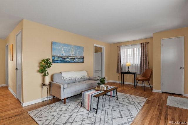 living room featuring hardwood / wood-style flooring