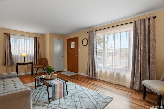 living room featuring light hardwood / wood-style floors