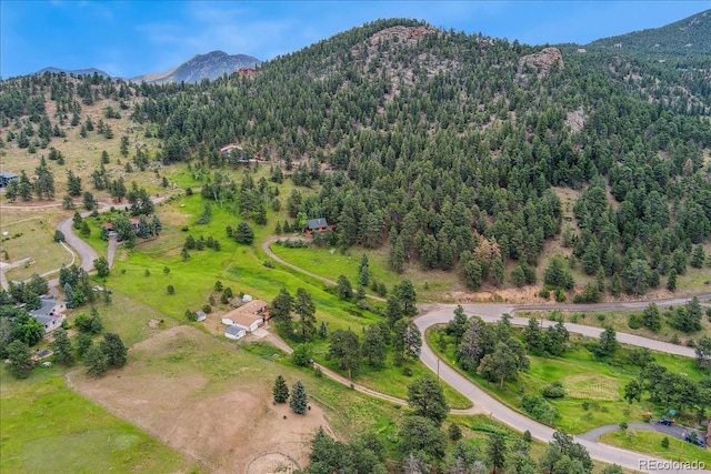 11846 Crescent Park Dr, Golden, CO 80403 - photo 37