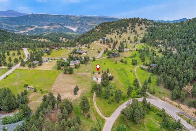 11846 Crescent Park Dr, Golden, CO 80403 - photo 38