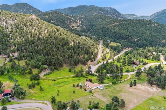 11846 Crescent Park Dr, Golden, CO 80403 - photo 41