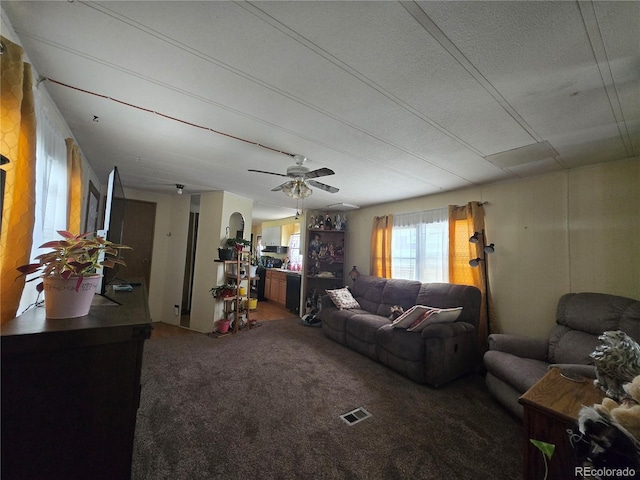 602 Vine St, Salida, CO 81201 - carpeted living area with ceiling fan