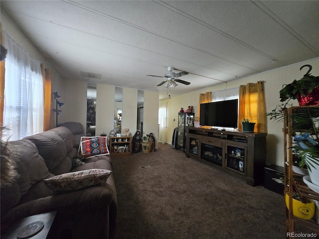 602 Vine St, Salida, CO 81201 - living room featuring plenty of natural light, carpet flooring, a ceiling fan, and a textured ceiling