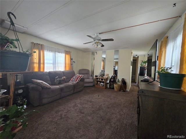 602 Vine St, Salida, CO 81201 - carpeted living room with a ceiling fan
