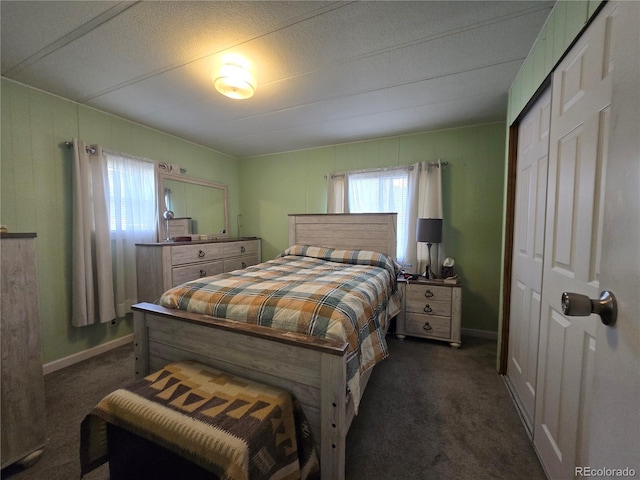 602 Vine St, Salida, CO 81201 - bedroom with dark colored carpet, a closet, baseboards, and wood walls