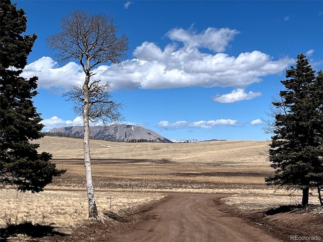 2945 Forbes Park Rd, Fort Garland, CO 81133 - view of dirt / gravel road featuring a mountain view and a rural view