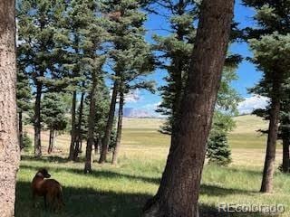 2945 Forbes Park Rd, Fort Garland, CO 81133 - photo 4
