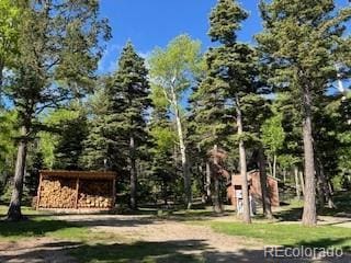 2945 Forbes Park Rd, Fort Garland, CO 81133 - photo 30
