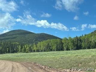 2945 Forbes Park Rd, Fort Garland, CO 81133 - photo 37
